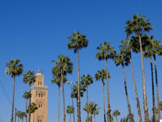 Qué ver en Marrakech en 2 días