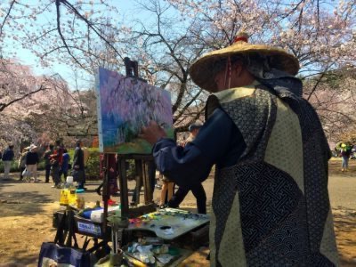 Tokyo et les cerisiers en fleurs: quand et où aller pour les admirer