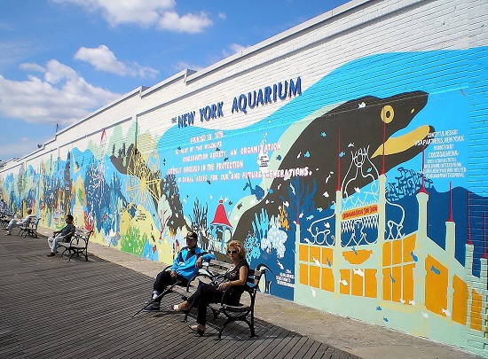 Visit the New York Aquarium: opening hours, ticket prices and how to get there