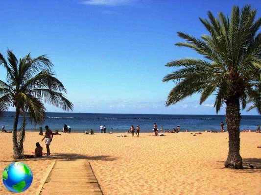 Tenerife, el trópico low cost en Privavera