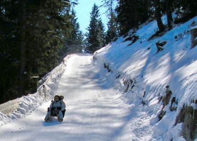 The longest toboggan run in Italy, in South Tyrol on Monte Cavallo