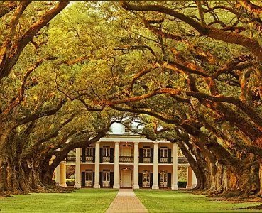 Oak Alley Plantation in Louisiana, the wonderful plantation