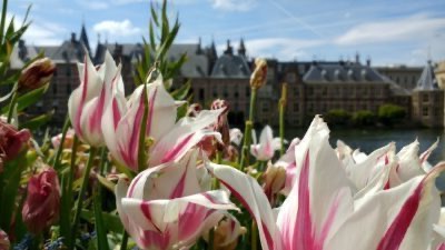 La Haya, Den Haag: la perla de Holanda