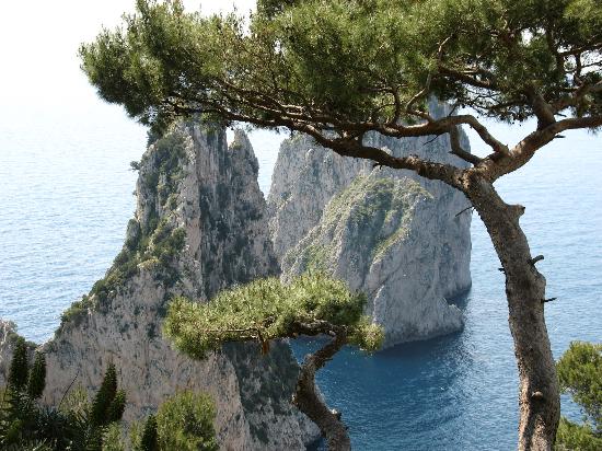 Conseils pour économiser Capri