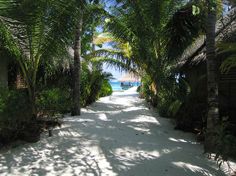 Récit de voyage aux Maldives au Moofushi Resort un vrai paradis