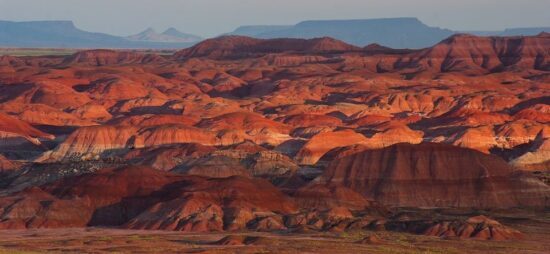 The wonder of the Petrified Forest and Painted Desert in Arizona