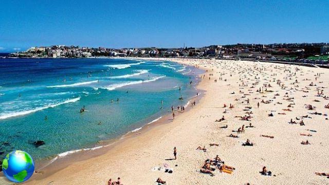 10 tips for surfing in Australia