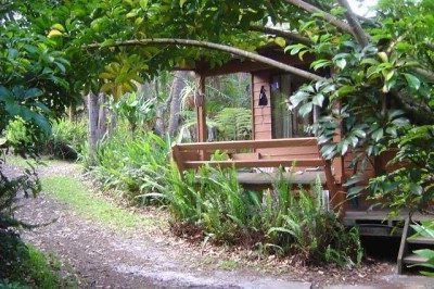 Que ver en Melaleuca Surfside Backpackers, naturaleza en Port Stephens