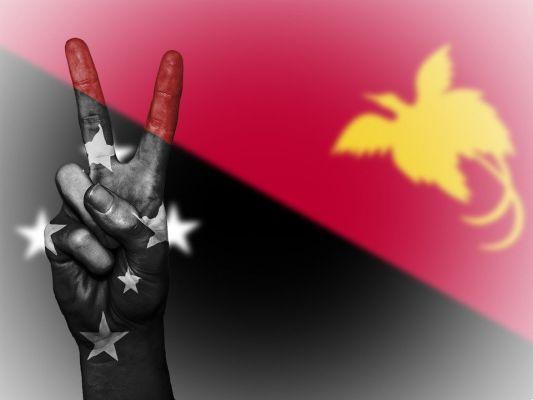 Nueva Guinea información útil y consejos