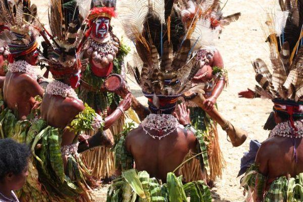 New Guinea useful information and advice