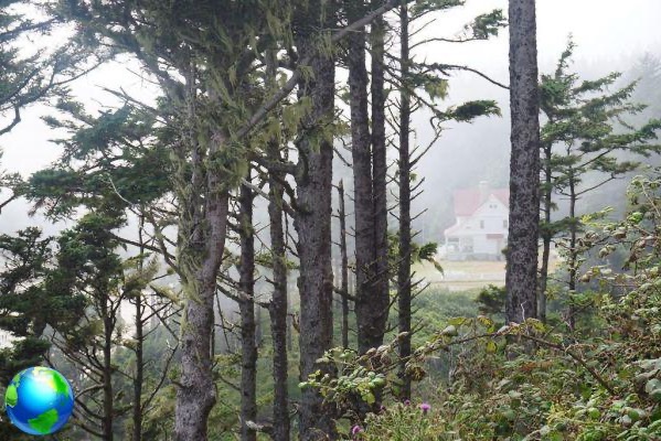Phare d'Heceta, côte de l'Oregon: dormir au pied d'un phare