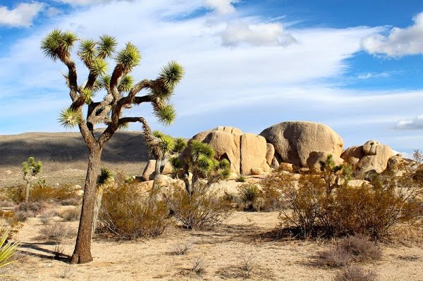 City, climate and what to see in the Mojave Desert