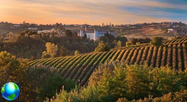 Journey in the Langhe: itinerary and advice