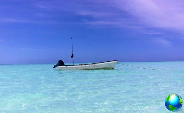 Travel to Zanzibar, the island of happiness: what to see and the most beautiful beaches