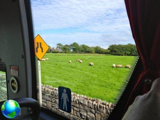 Viajar en transporte público en Irlanda