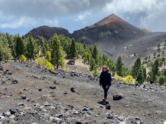 Canary Islands: which to choose?