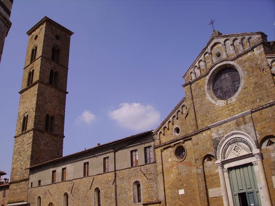 Volterra advice and information