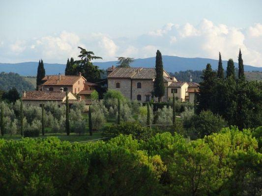 Volterra advice and information