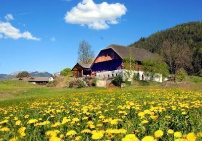 O Moarleitnerhof, medicina natural no Tirol do Sul