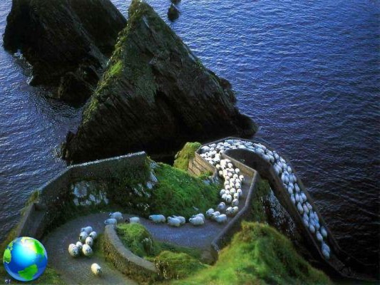 Dingle, Ring of Kerry e Ring of Beara, Irlanda