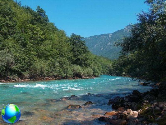 Montenegro visita el parque Biogradska Gora