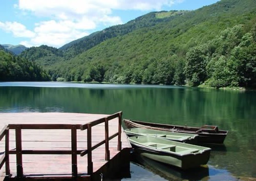 Montenegro visit the Biogradska Gora park
