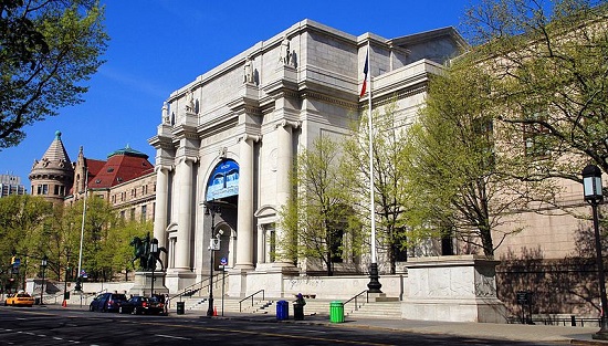 Visit the American Museum of Natural History in New York: timetables, prices, what to see and how to get there