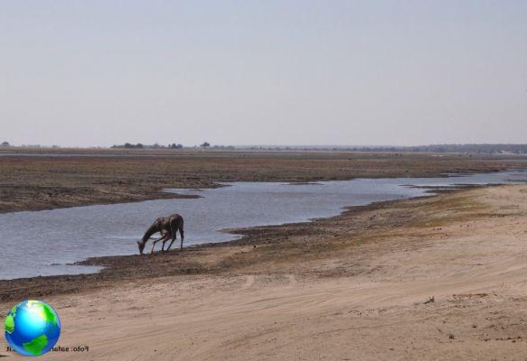 SafariZimbabwe, cómo viajar a África acompañado