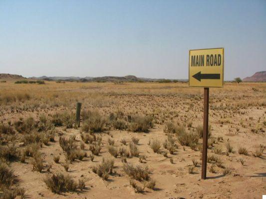 Trip to Namibia: 12 days between the Namib desert and Etosha safaris