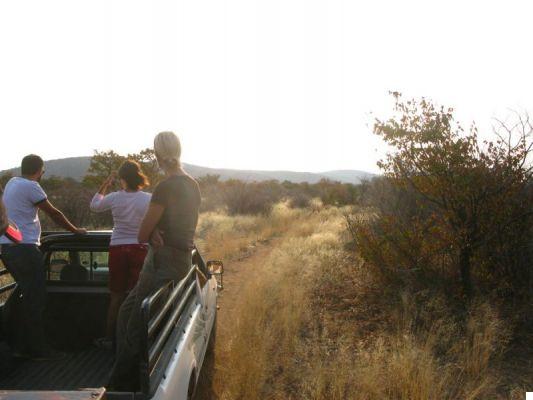 Viagem para a Namíbia: 12 dias entre o deserto da Namíbia e os safáris de Etosha
