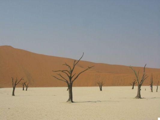 Viaje a Namibia: 12 días entre el desierto de Namib y los safaris de Etosha