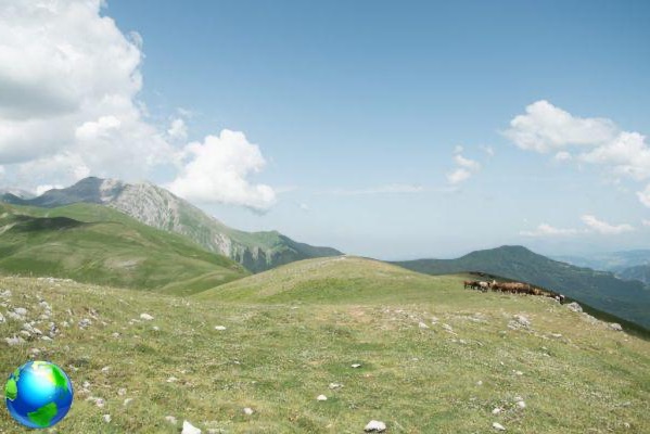 Tips for a weekend at Lake Campotosto in Abruzzo