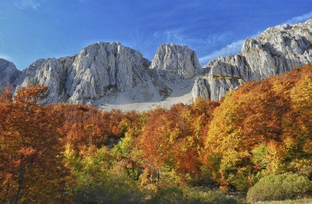 Les 10 choses à voir dans les Abruzzes, la région verte d'Europe