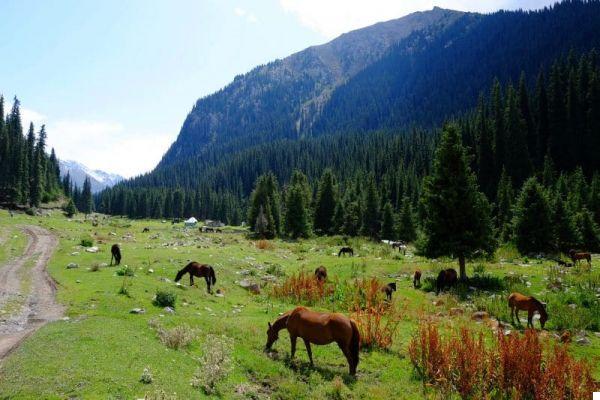 A trip to Kyrgyzstan: from Pamir to Almaty (Kazakhstan)