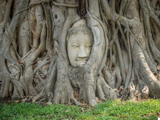 What to see in Ayutthaya (Thailand)