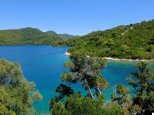 What to see in Dubrovnik and surroundings: the islands of Mljet, Kolocep and Lopud