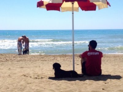 5 bathing establishments for dogs in Rome