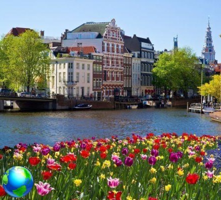 How to get to the Keukenhof Park in Amsterdam