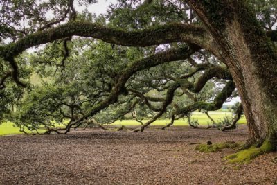 Louisiana: 5 plantations to visit