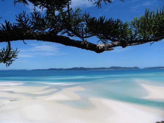 Playa Whitehaven Australia