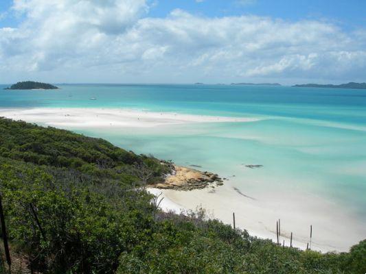 Playa Whitehaven Australia
