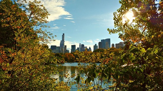 The most beautiful parks in New York: which ones to visit and how to get there