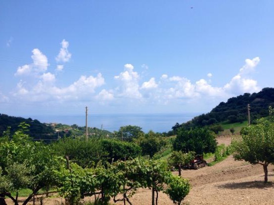 Onde comer na Calábria: Agriturismo Aru Castagnu