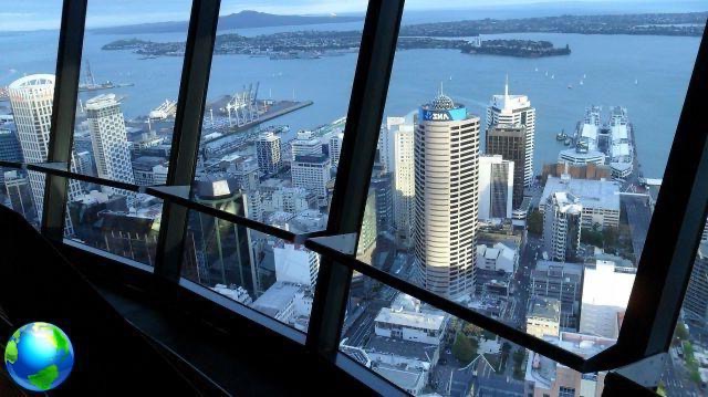 Auckland: what to do and see in New Zealand