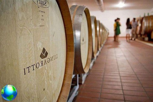 Umbria, tour for wineries: prices and tastings