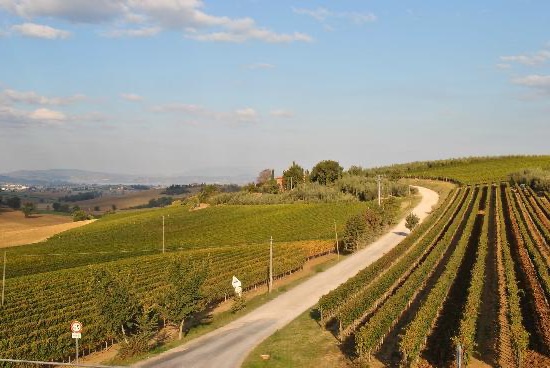 Umbria, tour por vinícolas: preços e degustações