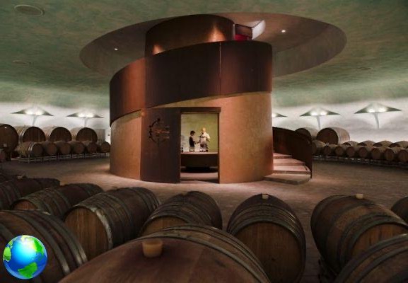 Umbria, tour for wineries: prices and tastings