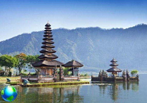 How to organize a trip to Bali