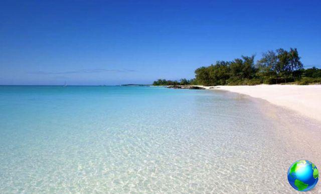 Holidays on Vamizi Island: the island of wonders of Mozambique that not everyone knows
