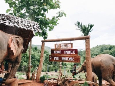 Santuario de la selva de elefantes en Chiang Mai